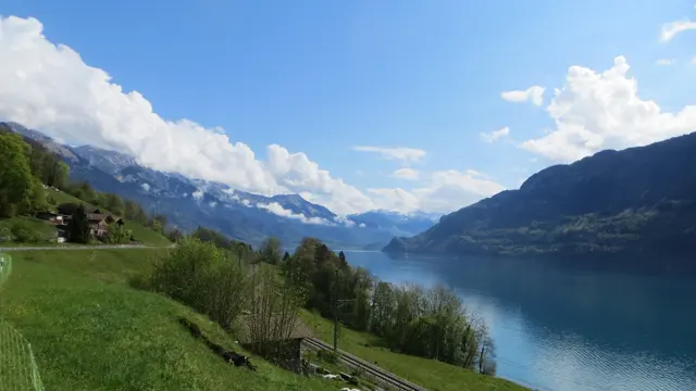 Railway tracks run below a green hillside along a narrow mountain lake.