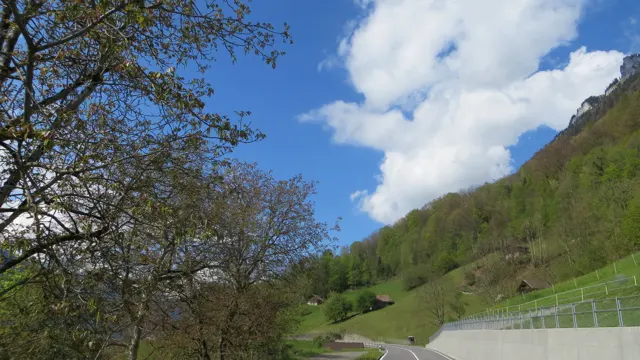 A leafy tree frames a road and bright green mountainside beneath clouds.
