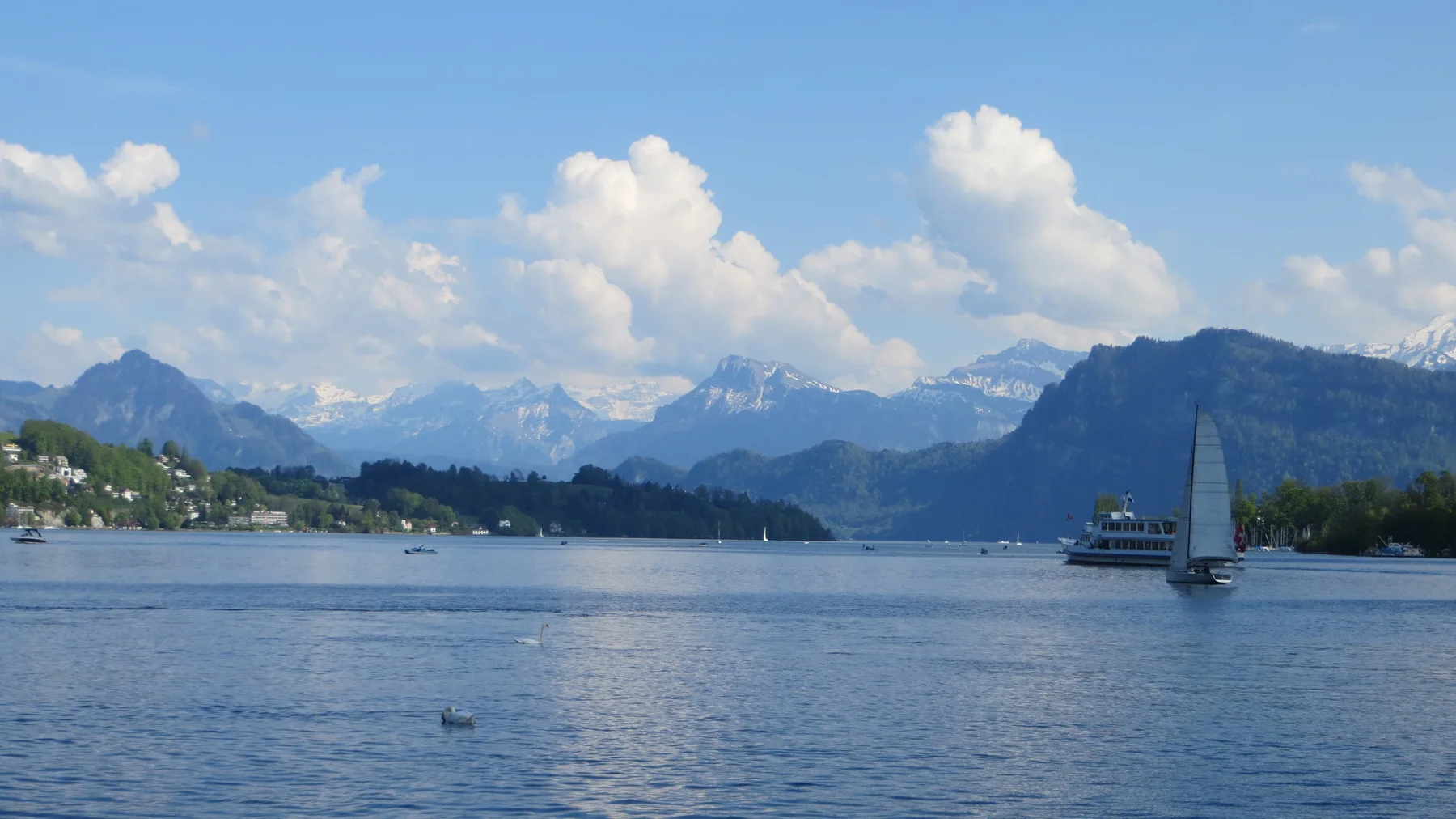 A sailboat moves across blue water with shoreline buildings and mountain peaks behind it.