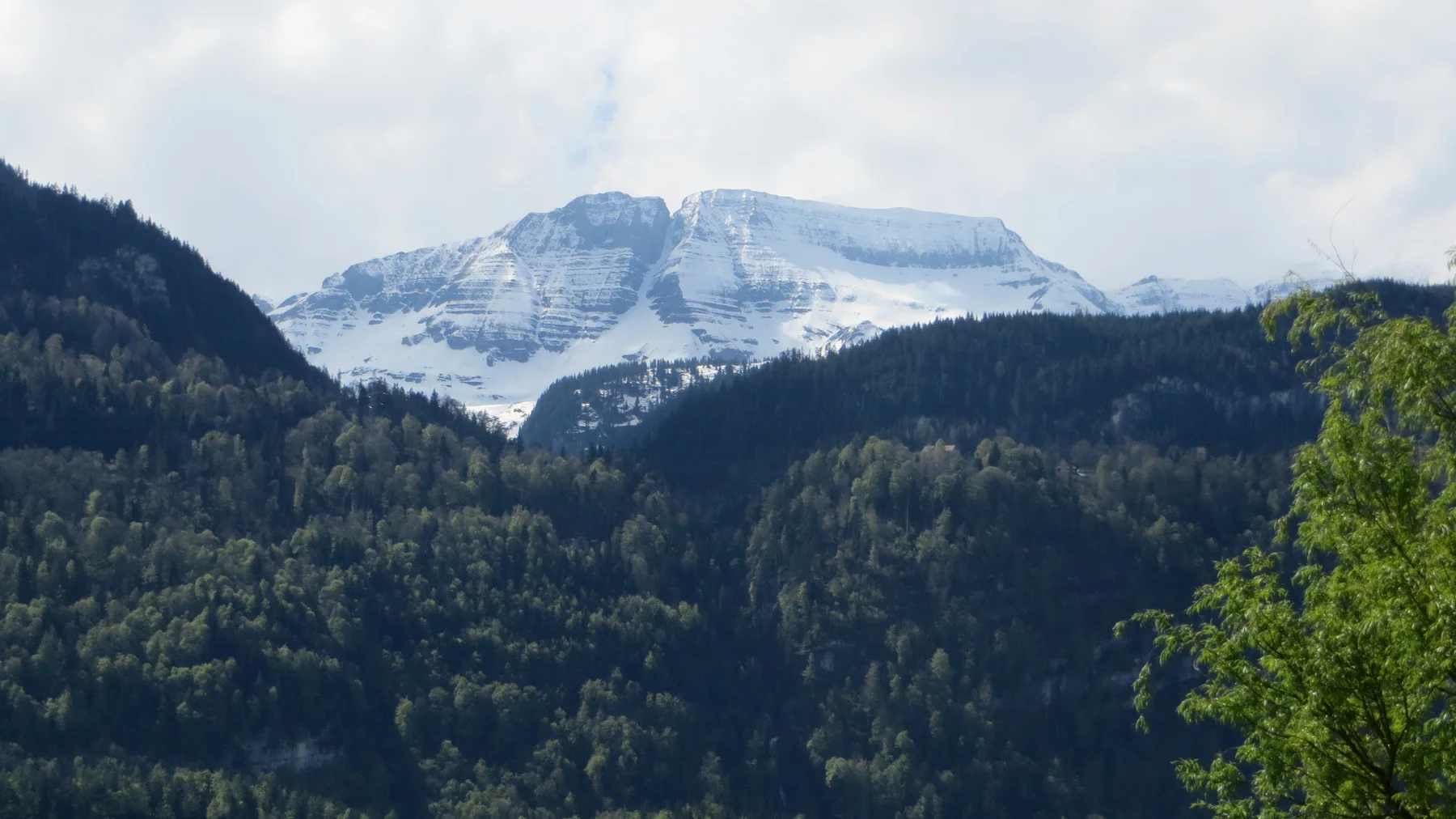 A pale, snow-covered mountain rises behind dark wooded slopes.