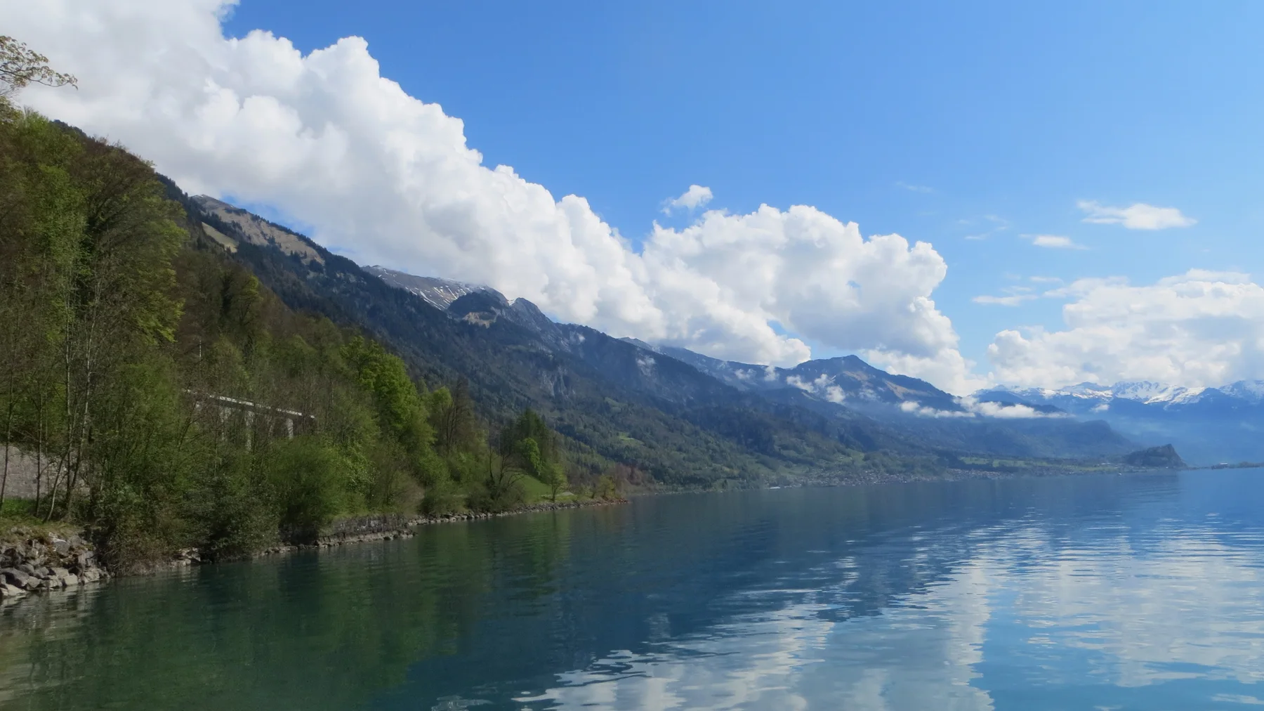 A wooded shoreline and bright clouds reflect in calm blue lake water.