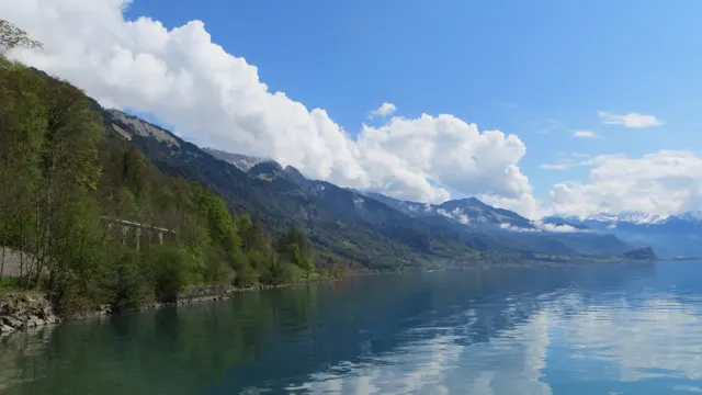 A wooded shoreline and bright clouds reflect in calm blue lake water.