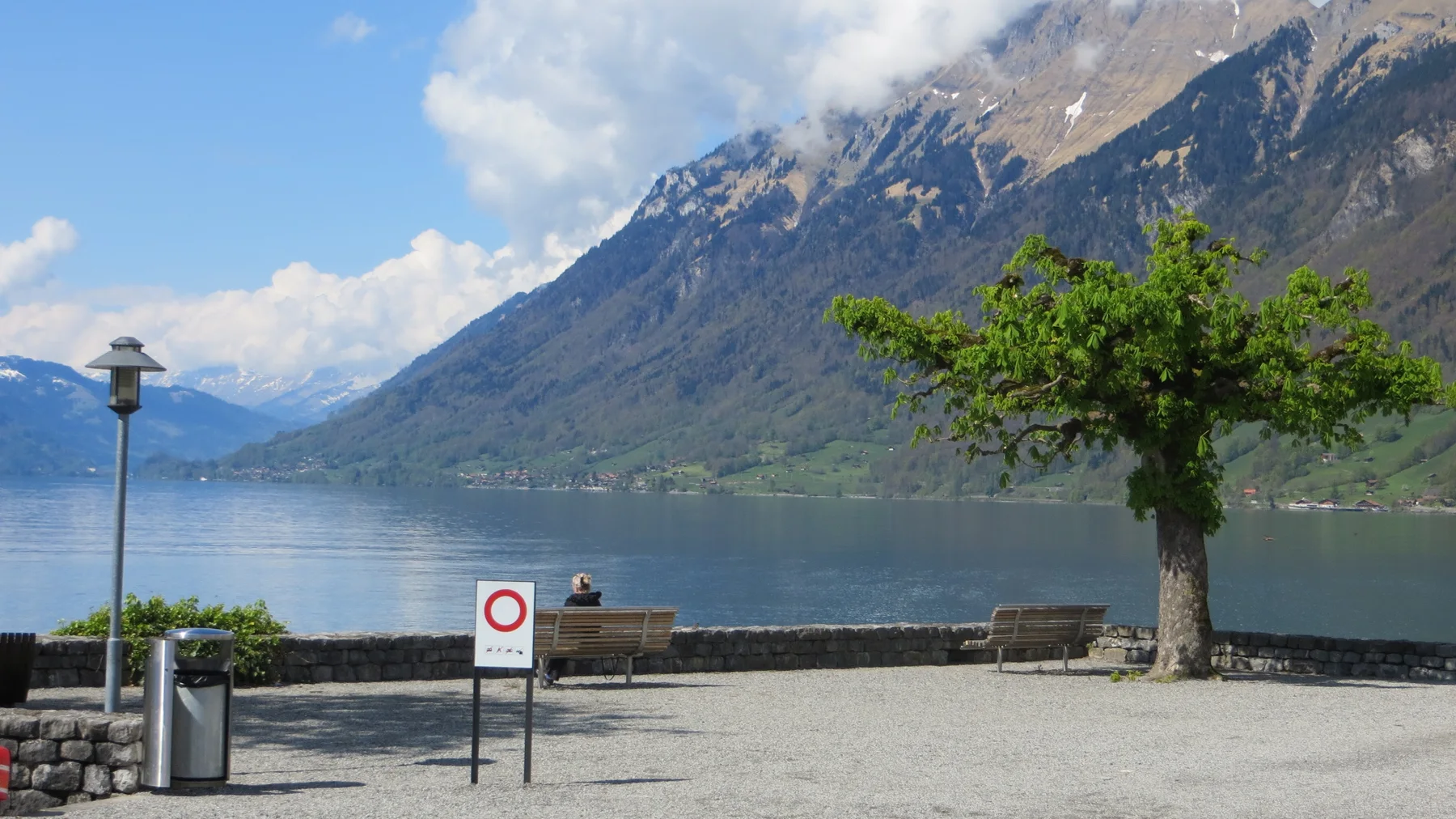 A bench, lamp and leafy tree stand on a gravel lakeshore beneath steep mountains.