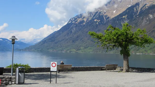 A bench, lamp and leafy tree stand on a gravel lakeshore beneath steep mountains.