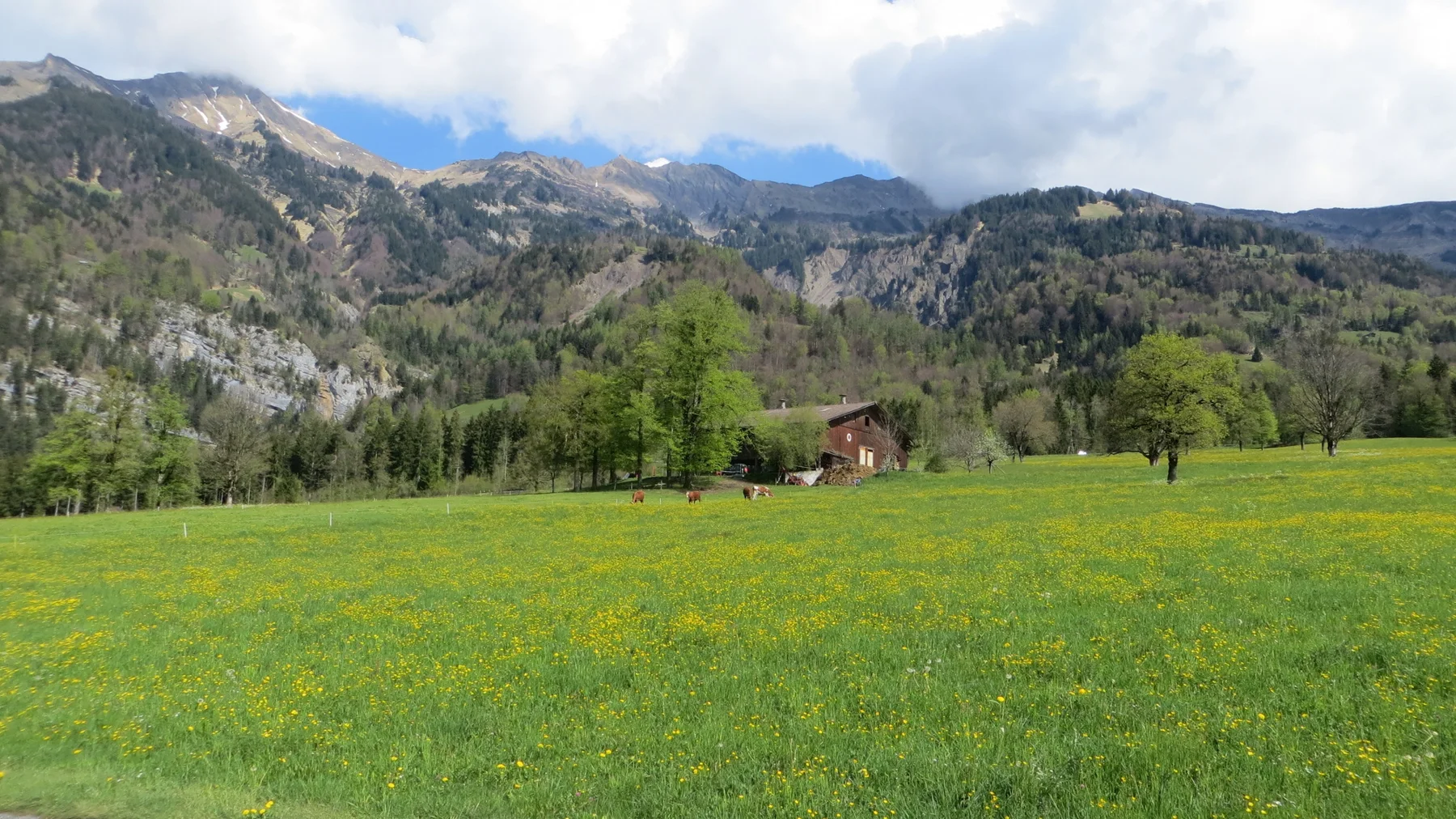 A small wooden house stands in a flowered meadow below rocky wooded slopes.