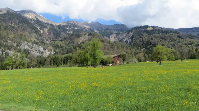 A small wooden house stands in a flowered meadow below rocky wooded slopes.