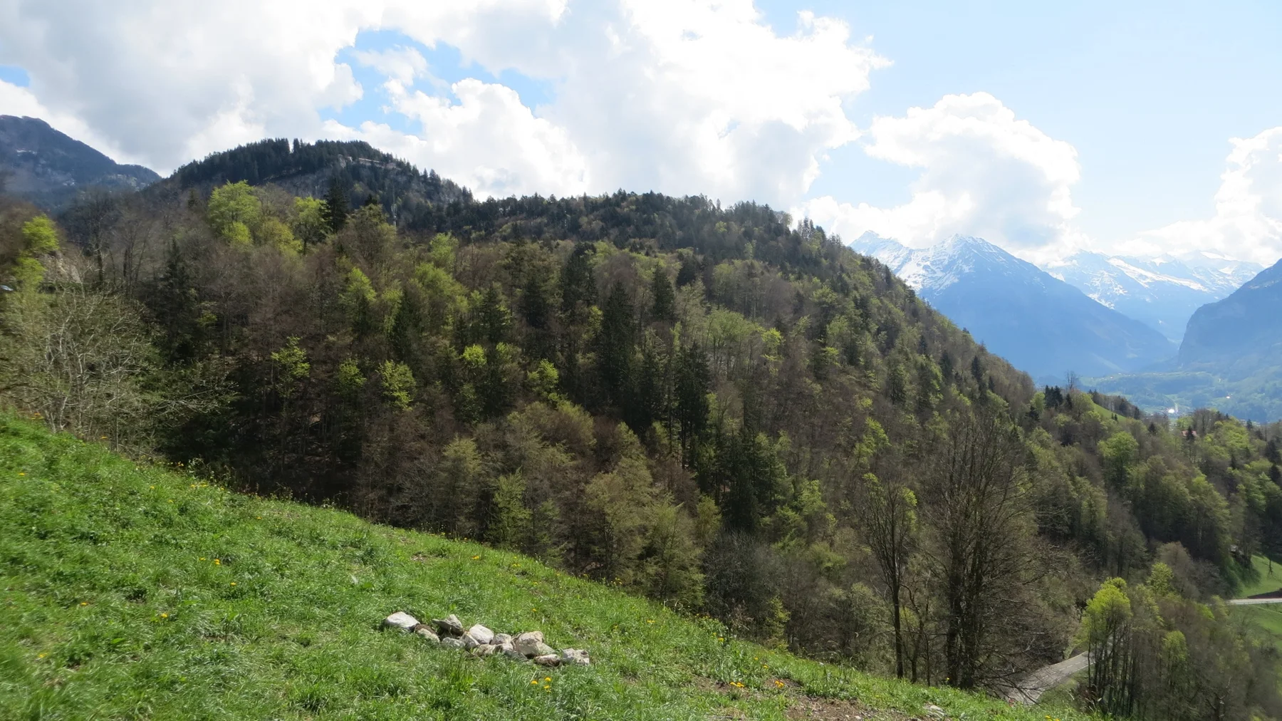 A grassy hillside drops toward a wooded hollow with distant snowy peaks beyond.