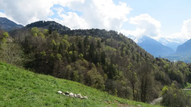A grassy hillside drops toward a wooded hollow with distant snowy peaks beyond.
