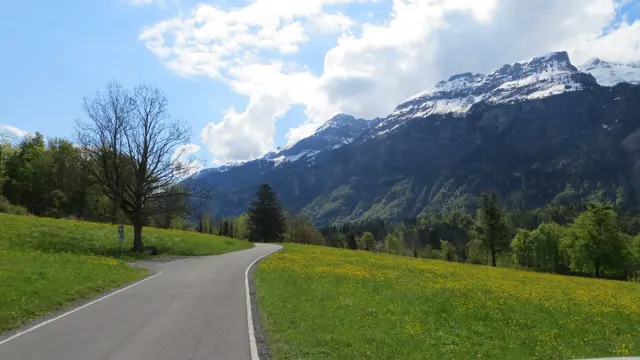 A narrow road curves through yellow-flowered meadows toward snowy mountain ridges.
