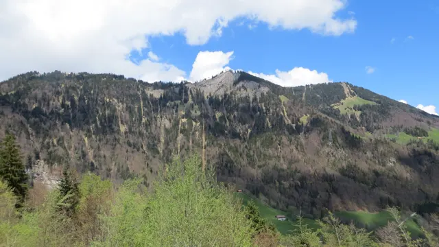 A rocky ridge rises above woodland and pale spring foliage.