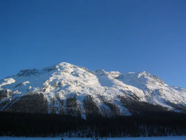 Bright snow covers a rugged mountain above a dark wooded base and deep blue sky.