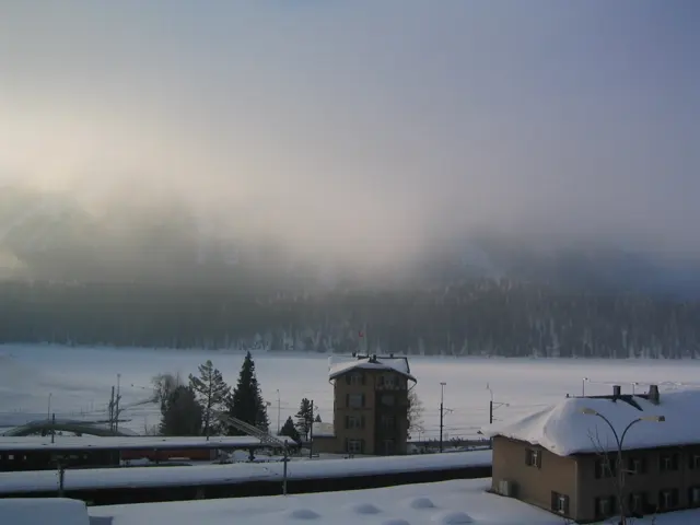 Low fog hangs above snowy ground, dark trees and a few buildings.
