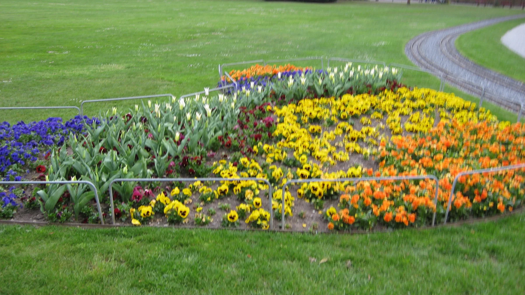 Purple, white, yellow and orange flowers fill a curved garden bed beside a lawn.