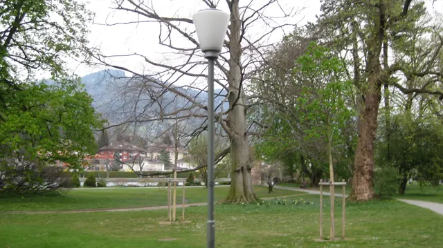 A lamp and bare-branched trees stand in a green park with mountains beyond.