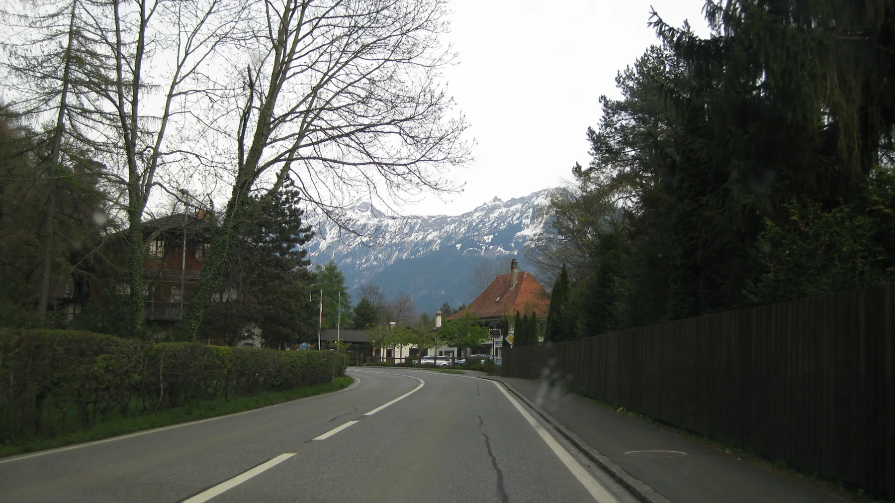 A paved road curves between trees and fences toward distant snowy mountains.