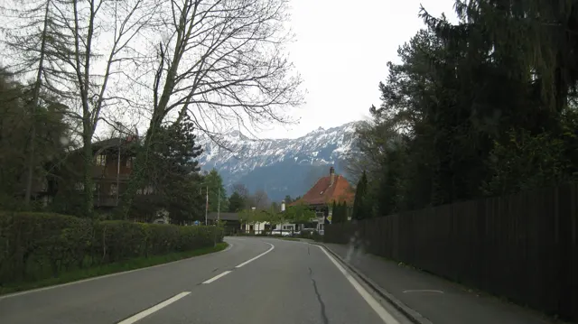 A paved road curves between trees and fences toward distant snowy mountains.