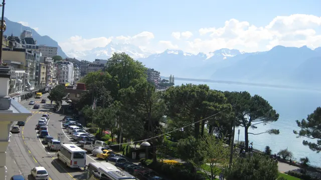 Traffic, buildings and tall trees line a boulevard beside a blue lake.