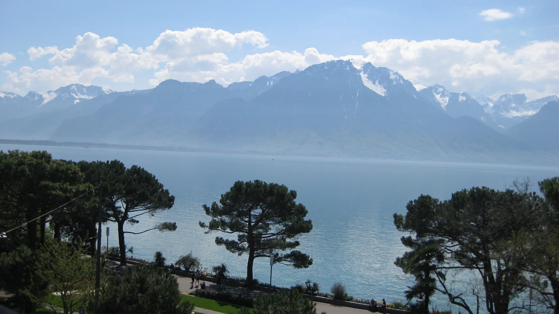 Dark pine crowns frame a lake and hazy mountains beneath scattered white clouds.