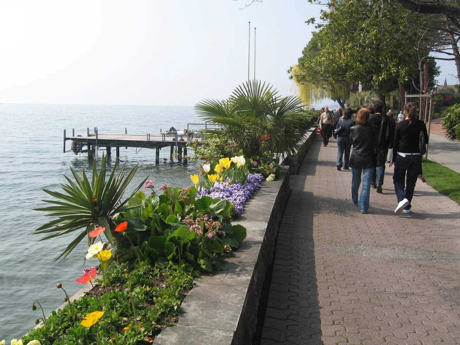 People walk beside a lakeside wall lined with colorful flowers and spiky green plants.