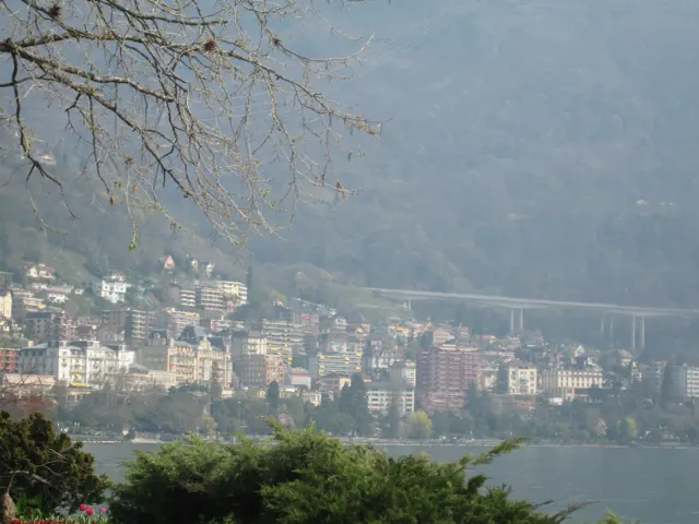 A cluster of buildings sits below a hazy mountainside, partly framed by branches.