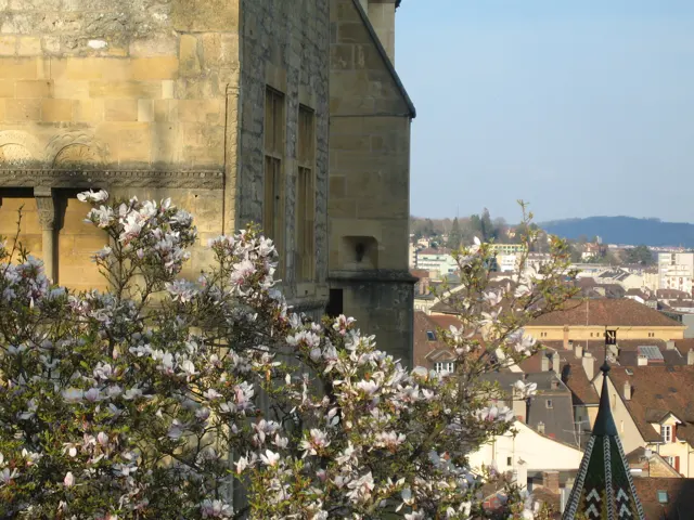 Pale blossoms fill the foreground beside a stone tower overlooking town roofs.