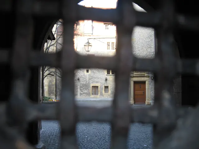 A dark metal grille frames a view of a paved courtyard and building entrance.