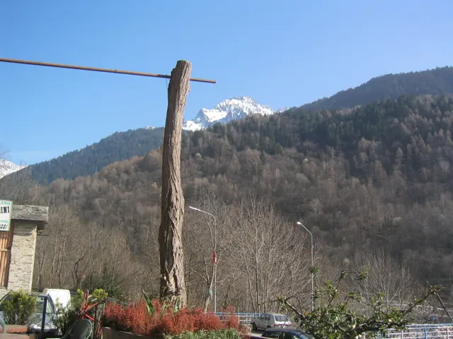 A terrace post and flower boxes frame a wooded mountainside and distant snow peak.