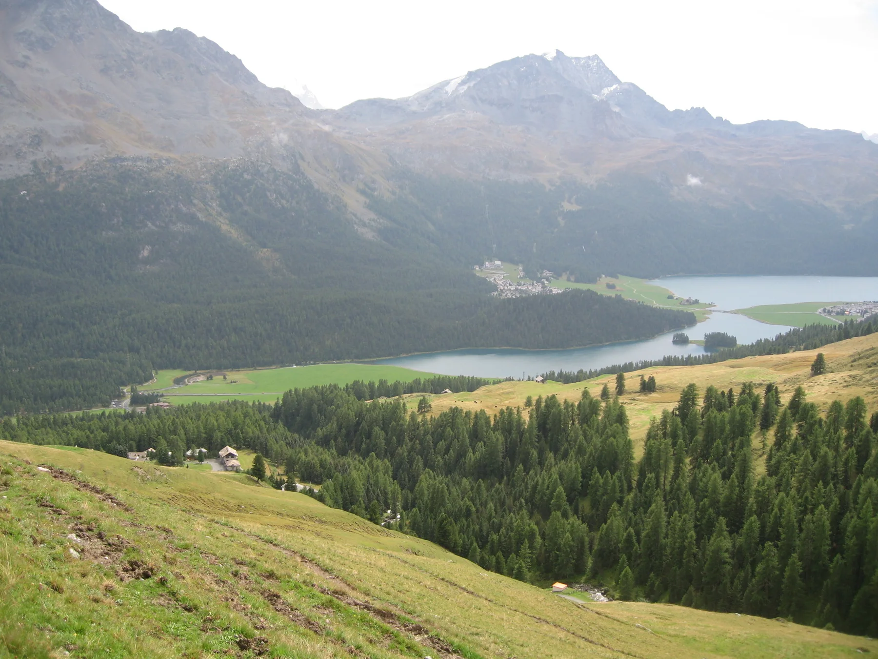 A sunlit grassy slope overlooks dark trees and a lake beneath hazy mountains.