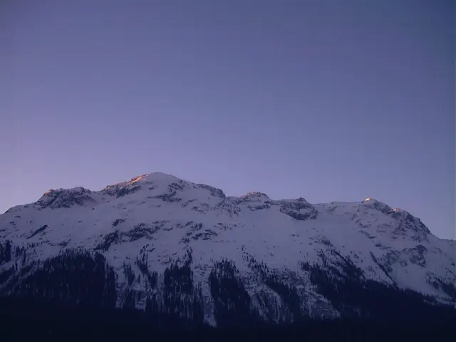 A snow-covered mountain rises against a muted purple-blue sky.