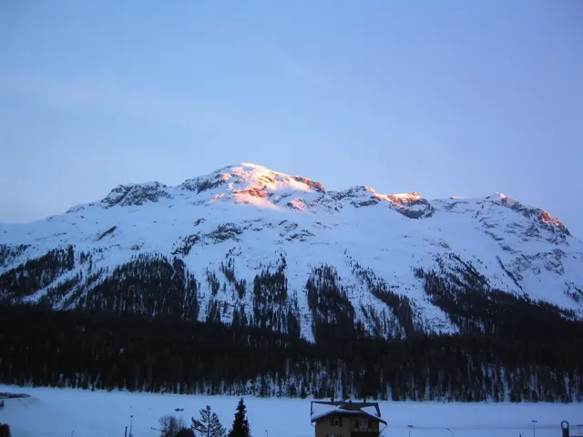 Warm light touches the highest snow-covered peaks above a dark forest.