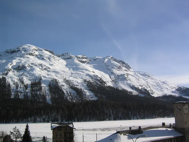 A broad snow-covered mountain face rises above a dense belt of dark forest.